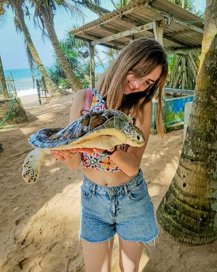 Ceylon Serenity Villas Берувала Екстер'єр фото
